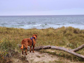 Appartementhaus Zingst 3 - Urlaub zwischen Meer & Bodden in Zingst